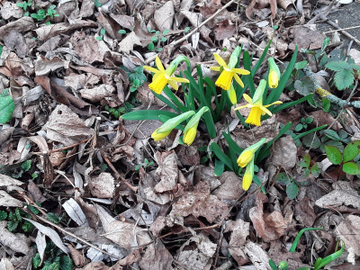 N. Tete a tete