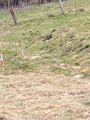 IMG-20250312-WA0047.jpg