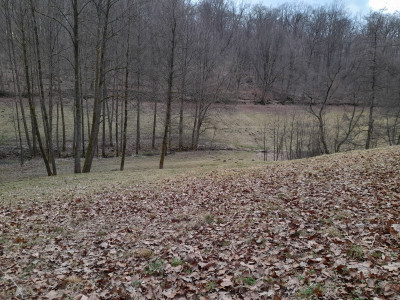 20250312_171804.jpg