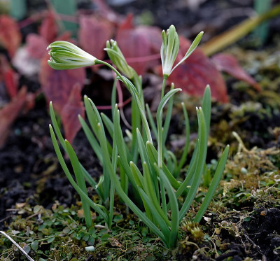 DSC_9536_DxO_DxO.jpg