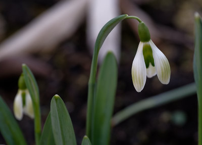 DSC_9555_DxO.jpg