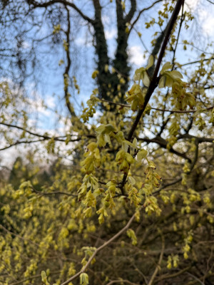 IMG_8811.jpeg