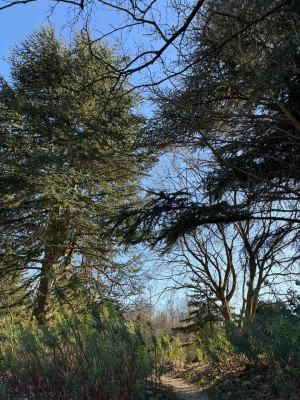 IMG_8999.jpeg