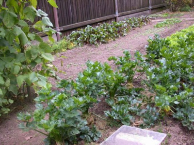 DSCN3388.jpg