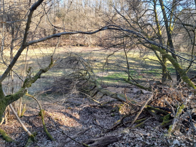 20250316_155221.jpg