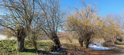 20250221_121609.jpg