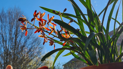 20250317_085042.jpg