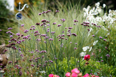 St_Herbstzauber09108.jpg
