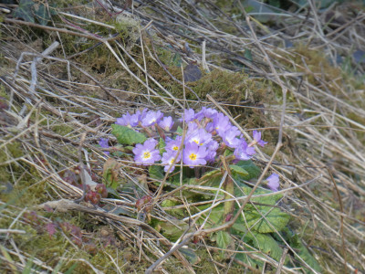 P1010050.JPG