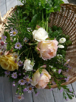 ernte_081014.jpg