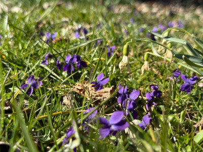 IMG_9602.jpeg
