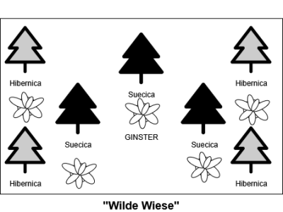 WacholderUndGinster.png