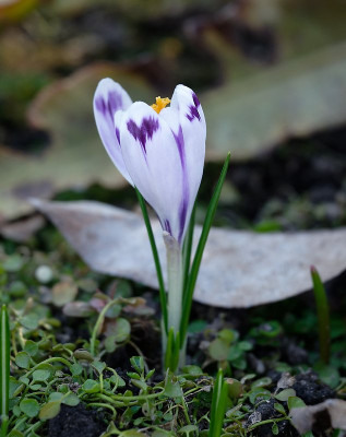 DSC_9569_DxO.jpg