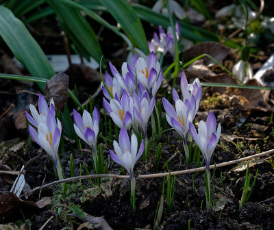 DSC_9564_DxO.jpg