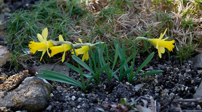 DSC_9566_DxO.jpg