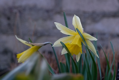 DSC_9567_DxO.jpg