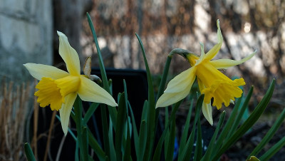 DSC02135_DxO.jpg