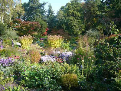 Foerster_Garten_1.JPG