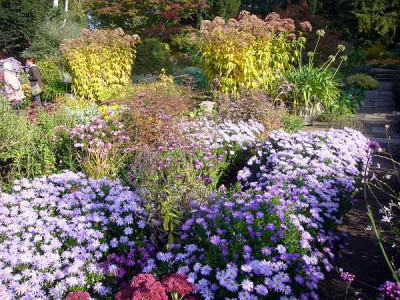 Foerster_Garten_2.JPG