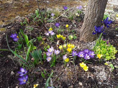 Buntes Allerlei
