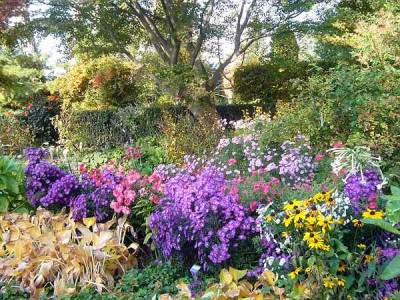 Foerster_Garten_3.JPG