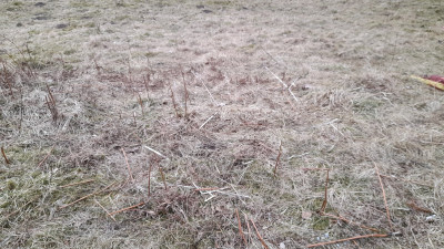 IMG-20250323-WA0008.jpeg