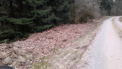 IMG-20250323-WA0010.jpeg