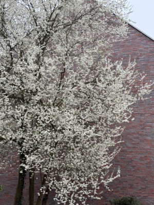 IMG_0035.jpeg