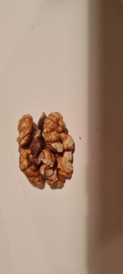 20250324_203134.jpg
