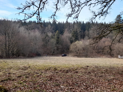 20250325_163045.jpg