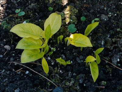 DSC02165_DxO.jpg