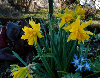 DSC02168_DxO.jpg