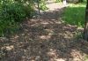 IMG_2777_Mulch.JPG