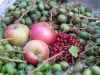 IMG_5641_kiwis_aepfel_johannisbeeren.jpg