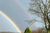 Regenbogen-2024-03-15-16-04-52.jpg