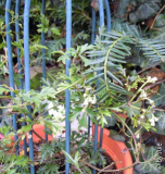 DSCN6569.JPG