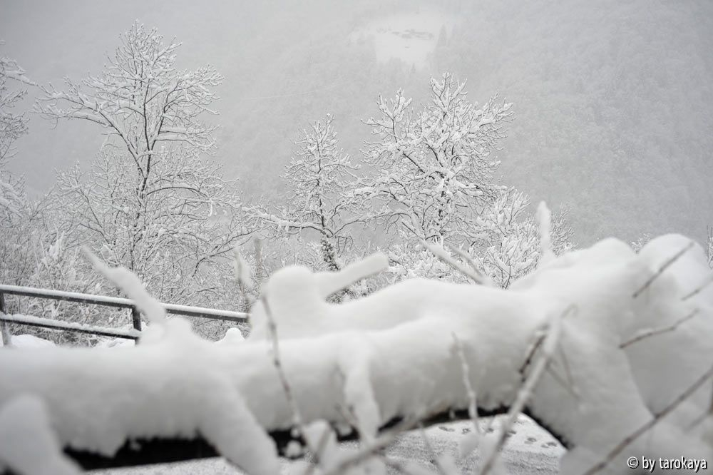schneespuk im märz3