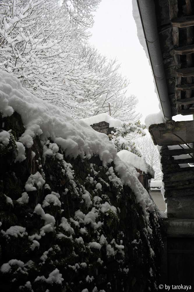 schneespuk im märz2