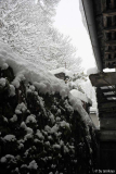 schneespuk im märz2