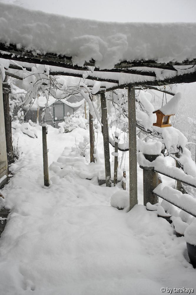 schneespuk im märz