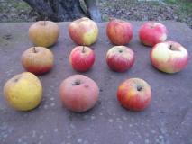 Äpfel.jpg