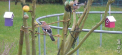 DSCN6656.JPG