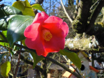 DSCN6712.JPG