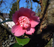 DSCN6709.JPG