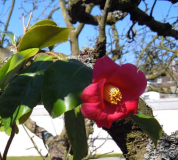 DSCN6702.JPG