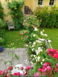 Blick auf den Garten