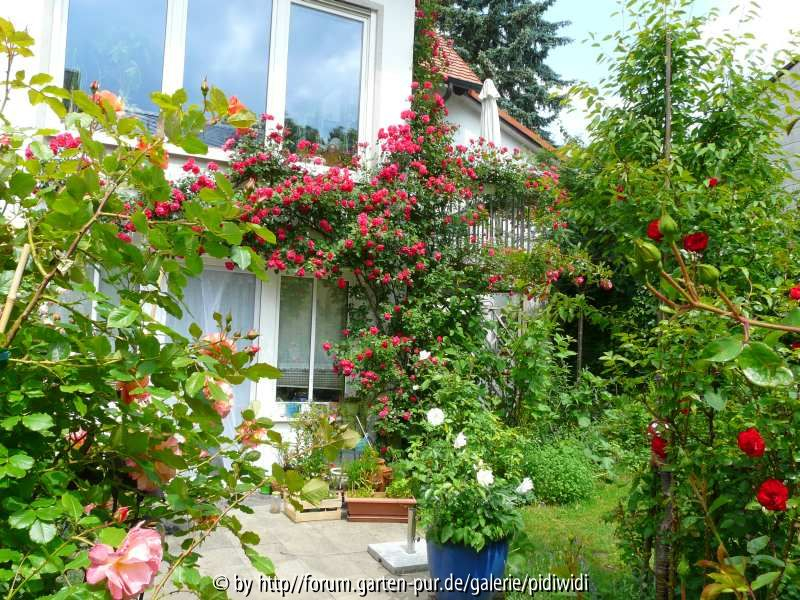 Sommer Blick zum Haus