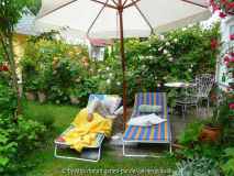 Sommer Blick nach rechts