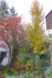 Herbst Blick nach Norden