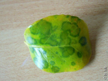 DSCN6759.JPG